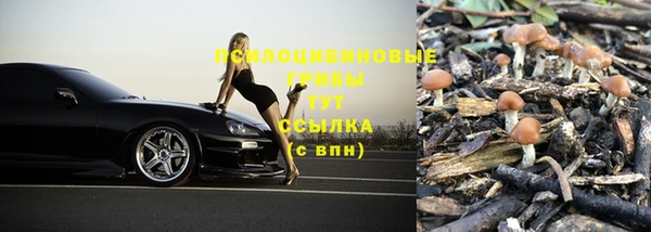 дурь Белокуриха