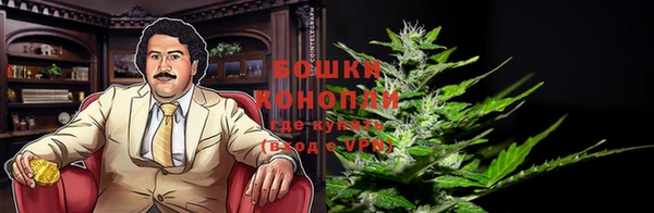 дурь Белокуриха