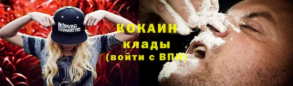 дурь Белокуриха
