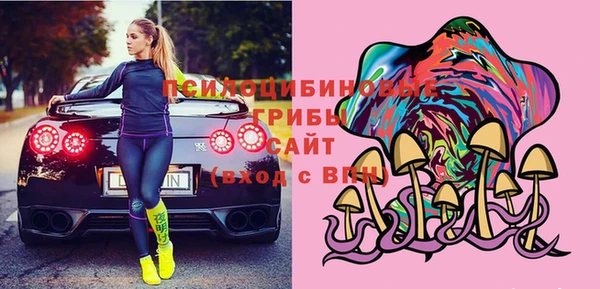 дурь Белокуриха