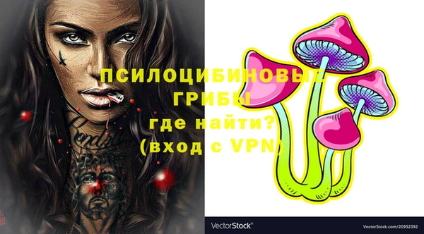 дурь Белокуриха